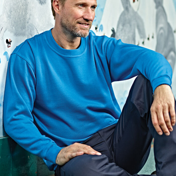 Kite Sweatshirt Thumbnail