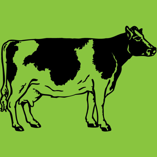 COW024 Thumbnail