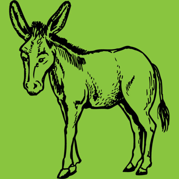 BURRO001 Thumbnail