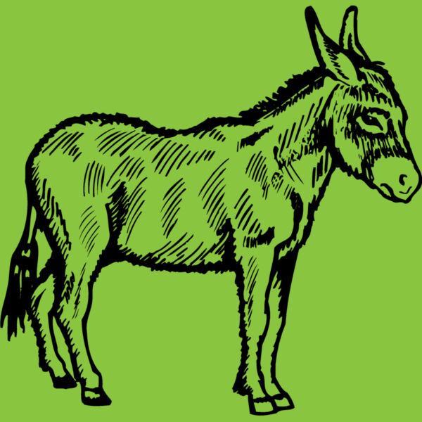 BURRO005 Thumbnail
