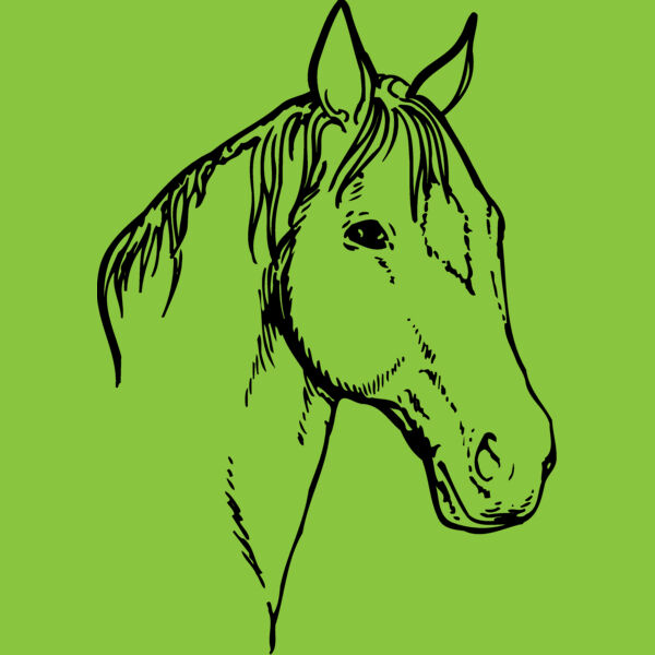 HORSE008 Thumbnail
