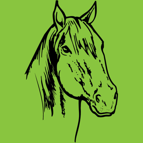 HORSE011 Thumbnail