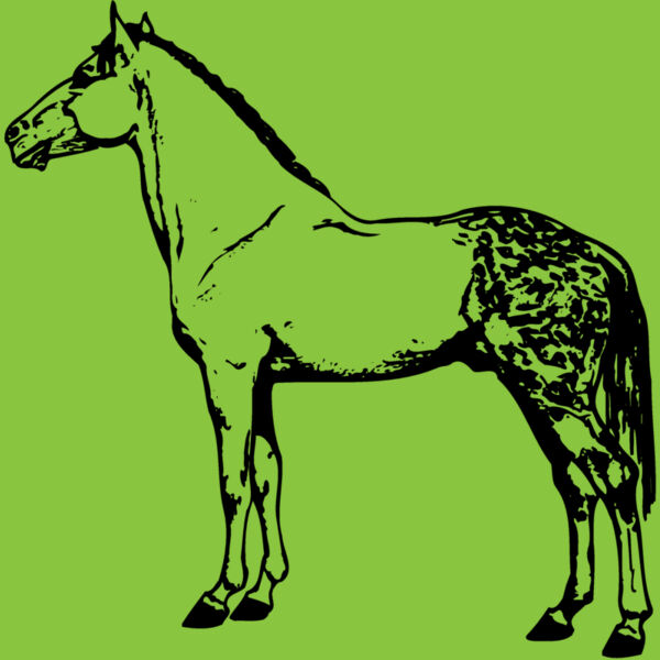 HORSE031 Thumbnail