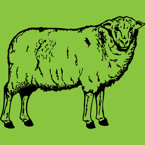 SHEEP002 Thumbnail