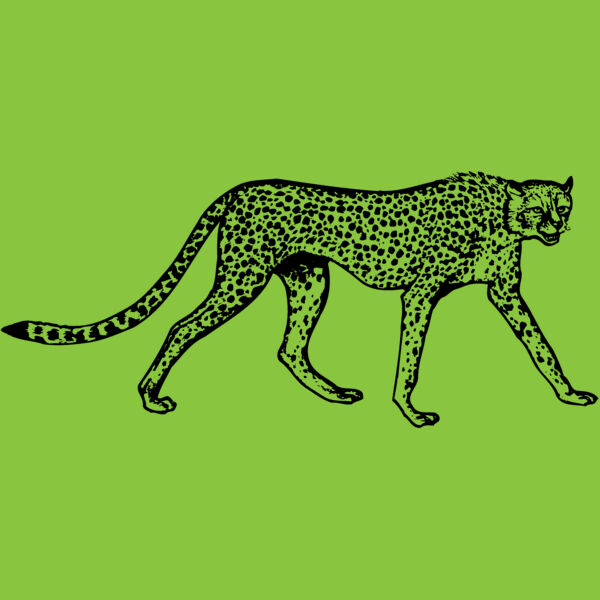 CHEETA02 Thumbnail