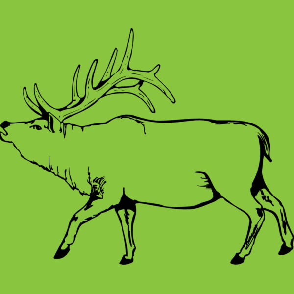 DEER004 Thumbnail