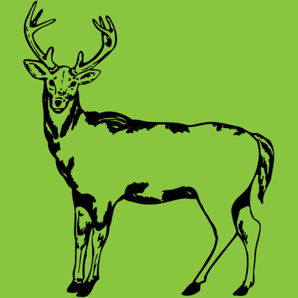 DEER005 Thumbnail