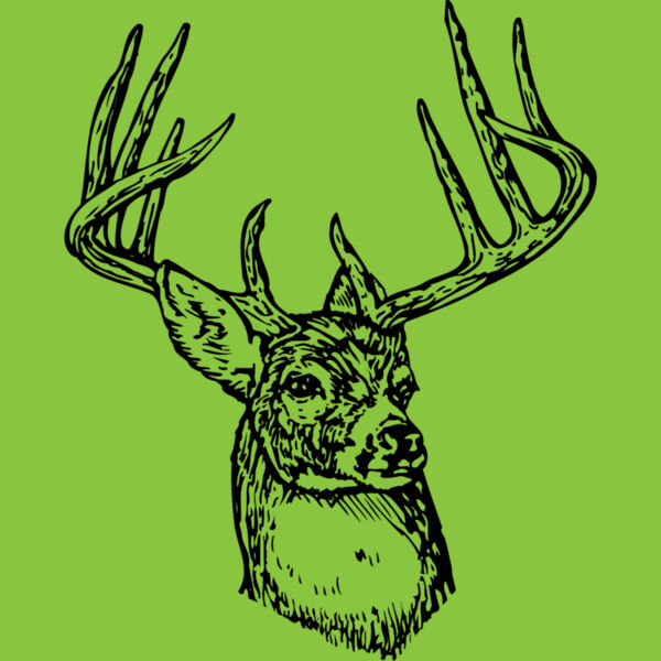 DEER006 Thumbnail