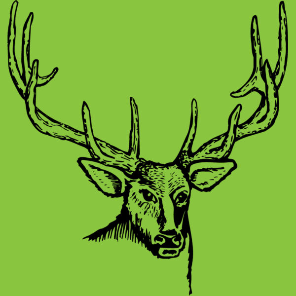 DEER007 Thumbnail