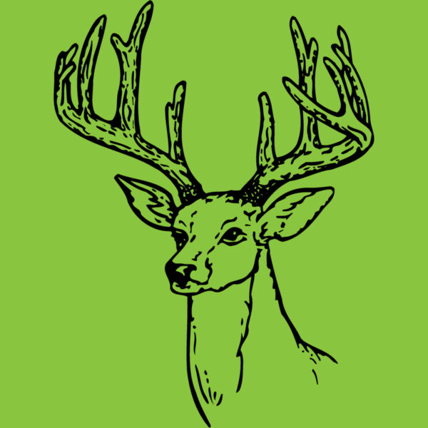 DEER009 Thumbnail