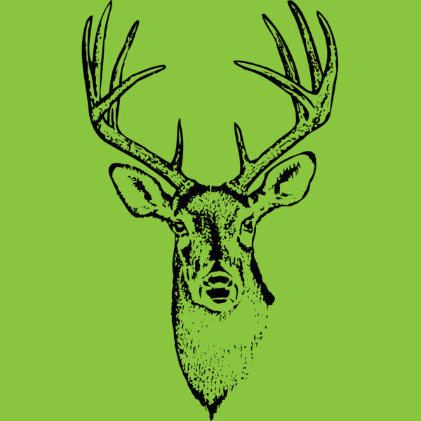 DEER010 Thumbnail