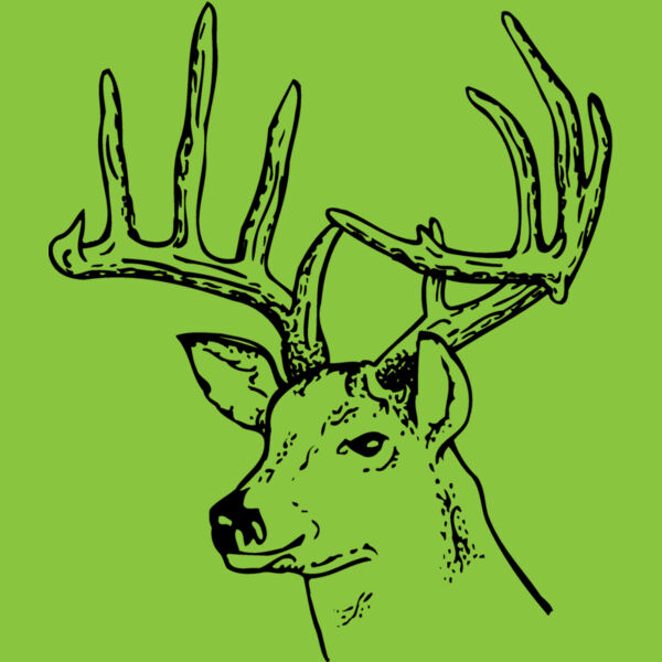 DEER014 Thumbnail