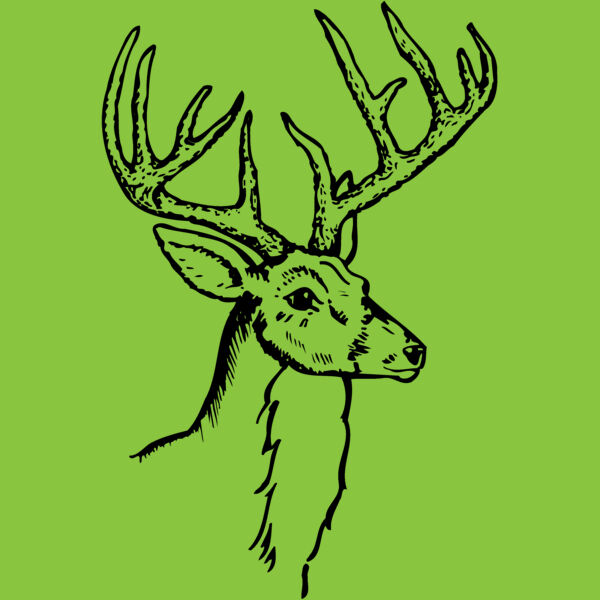 DEER017 Thumbnail