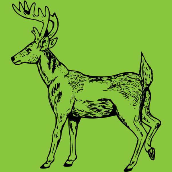 DEER019 Thumbnail