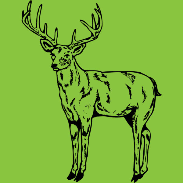 DEER021 Thumbnail