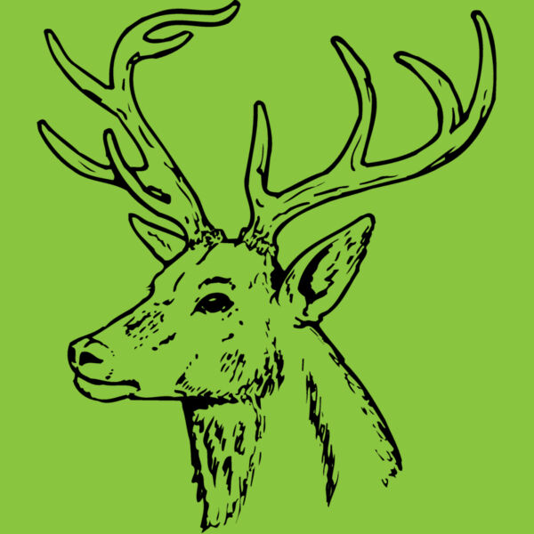 DEER022 Thumbnail