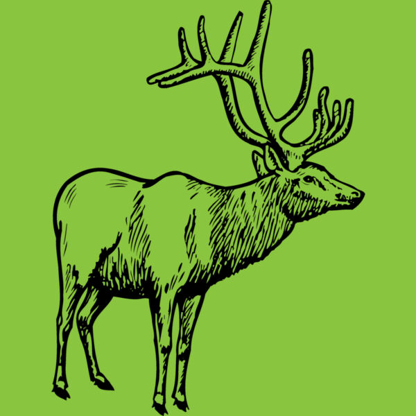 DEER028 Thumbnail