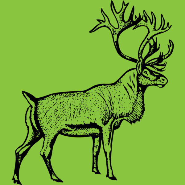 DEER030 Thumbnail