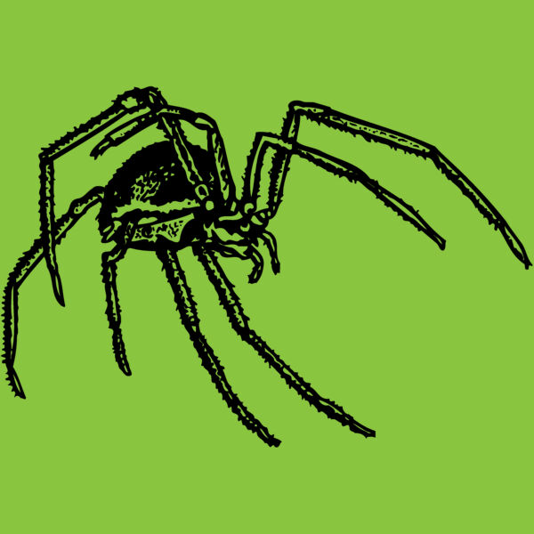 SPIDER01 Thumbnail