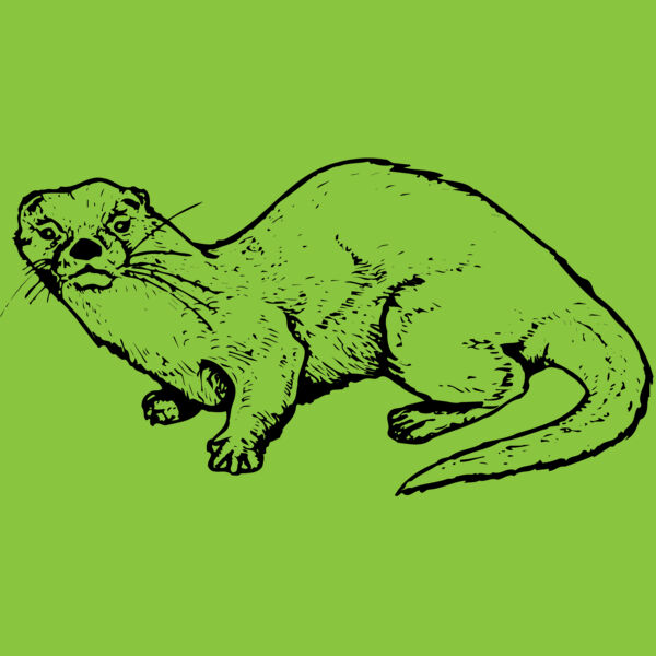 OTTER002 Thumbnail