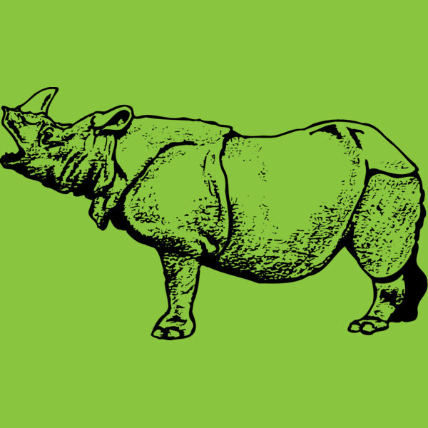 RHINO003 Thumbnail