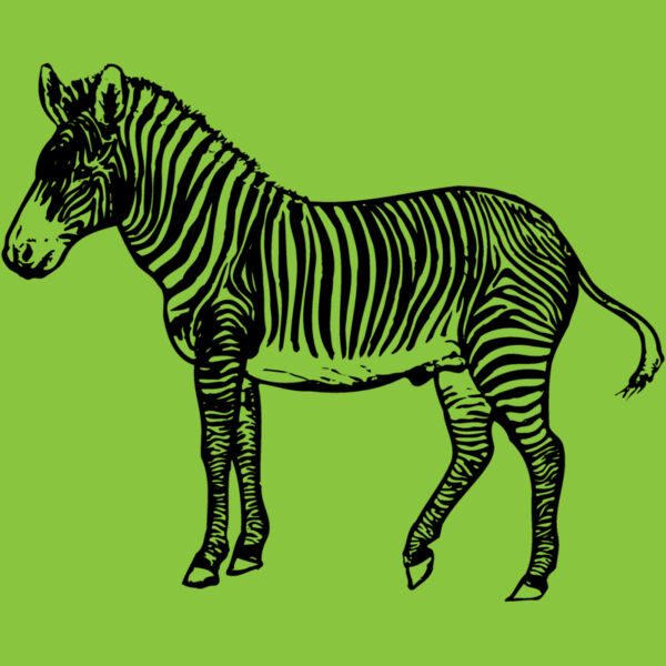 ZEBRA003 Thumbnail