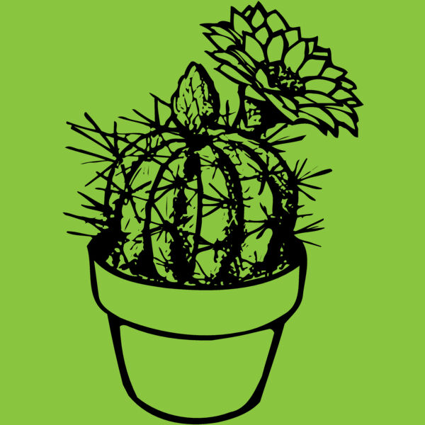 CACTUS01 Thumbnail