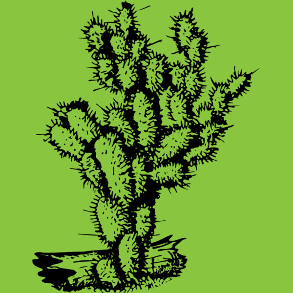 CACTUS09 Thumbnail