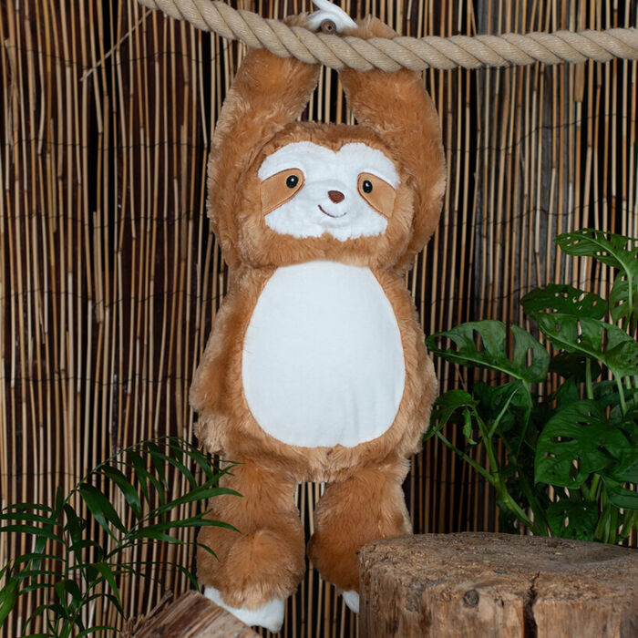 Zippie Sloth Thumbnail