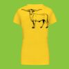 Ladies' short-sleeved V-neck T-shirt Thumbnail