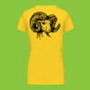 Ladies' short-sleeved V-neck T-shirt Thumbnail