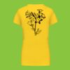Ladies' short-sleeved V-neck T-shirt Thumbnail