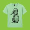 Heavy Cotton™ youth t-shirt Thumbnail