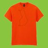 Heavy Cotton™ adult t-shirt Thumbnail